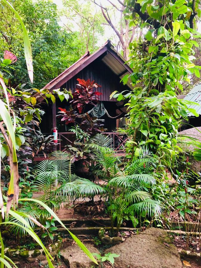 Hotel Bambu Huts Baan Tai Exteriér fotografie