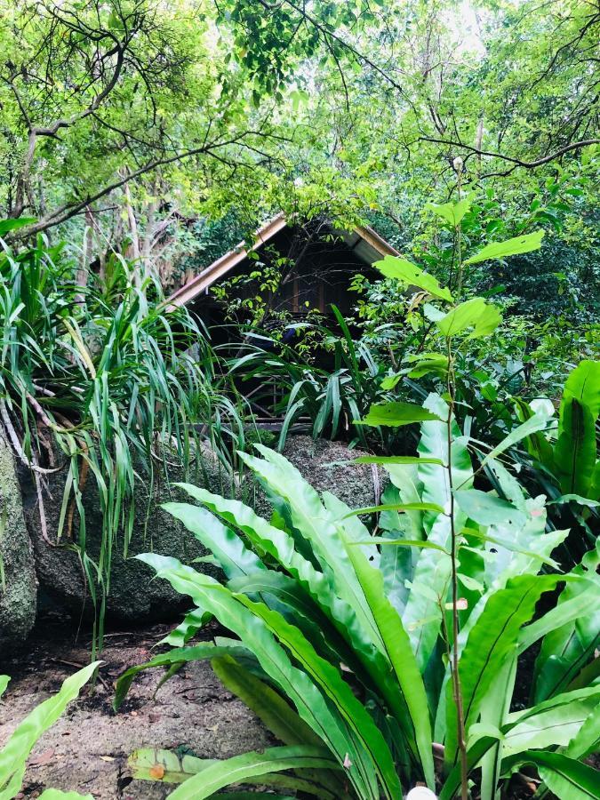 Hotel Bambu Huts Baan Tai Exteriér fotografie