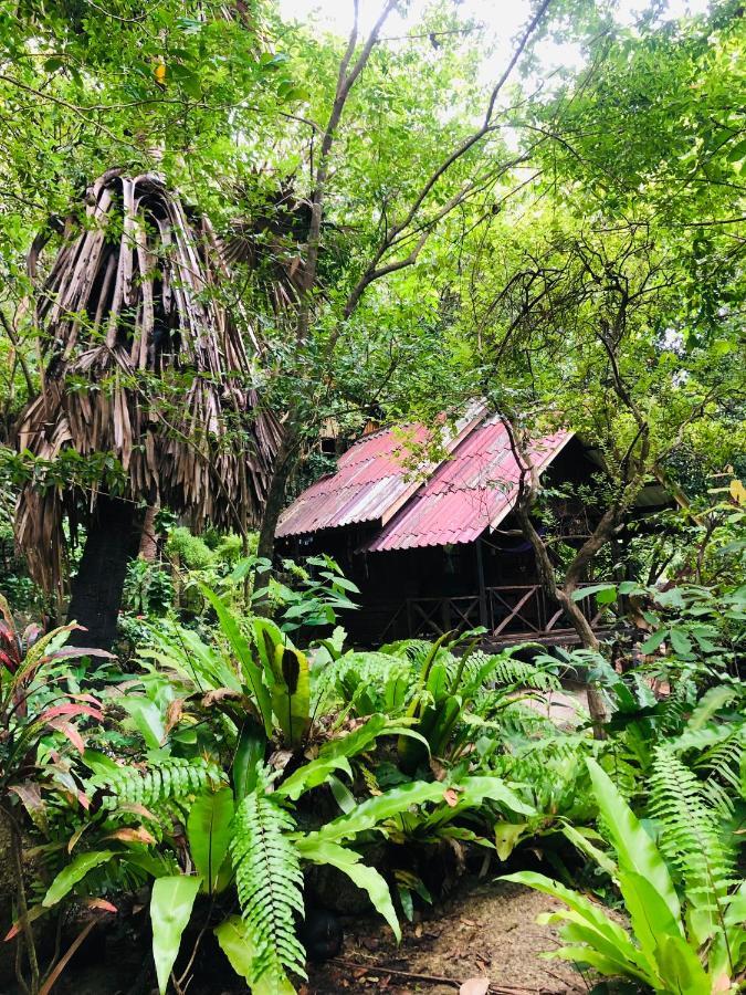 Hotel Bambu Huts Baan Tai Exteriér fotografie